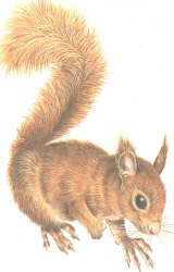 kg19_1