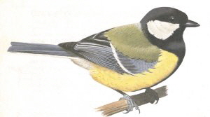 kg19_2