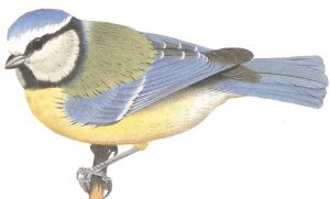kg19_3